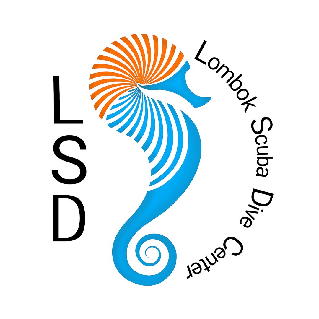 Lombok Scuba Dive (LSD)