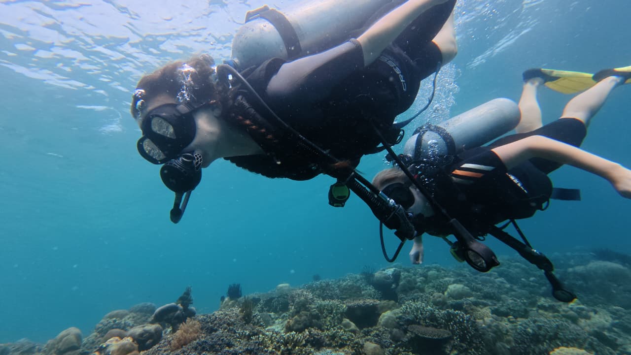Lombok Scuba Dive (LSD)