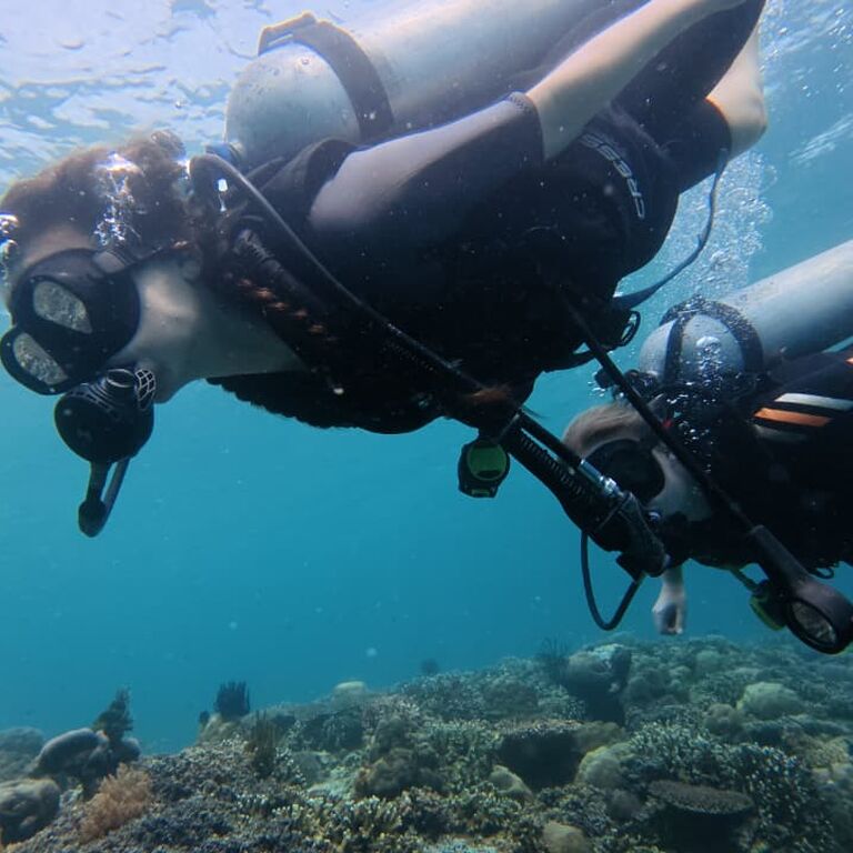 Lombok Scuba Dive (LSD)