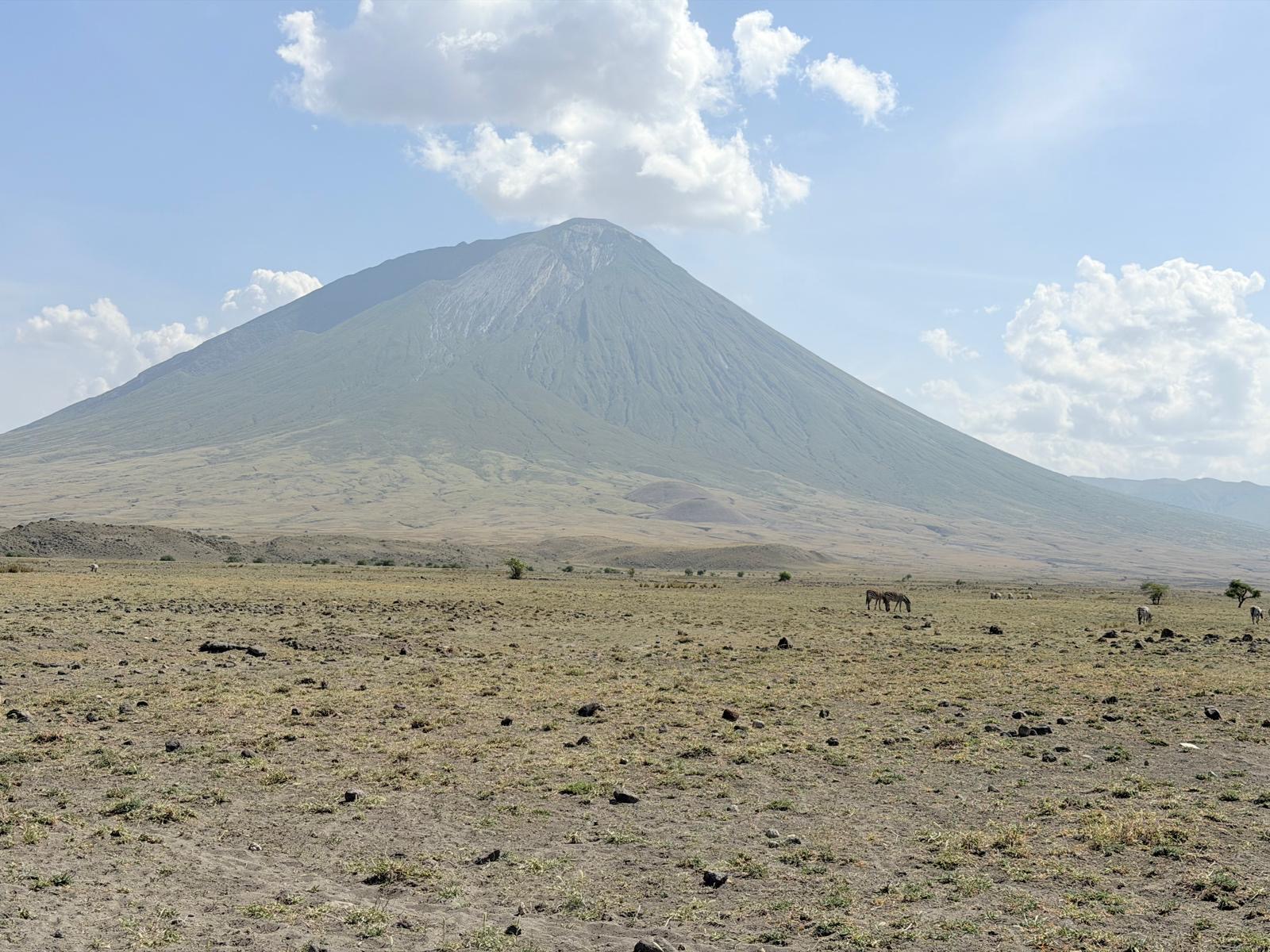 Jonson adventure&Safaris