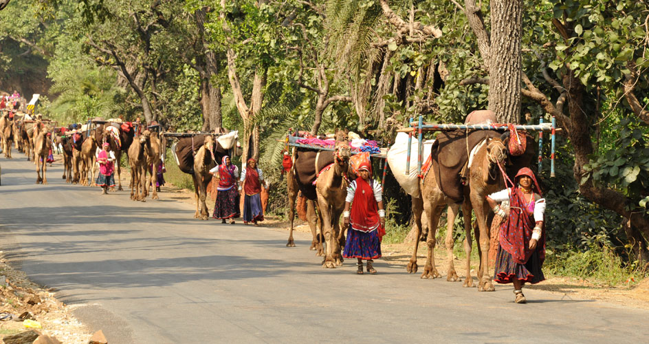 Rajasthan Moments