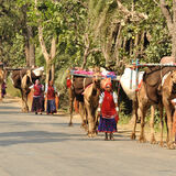 Rajasthan Moments