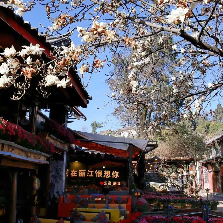 昆明康辉旅行社Kunming Comfort Travel