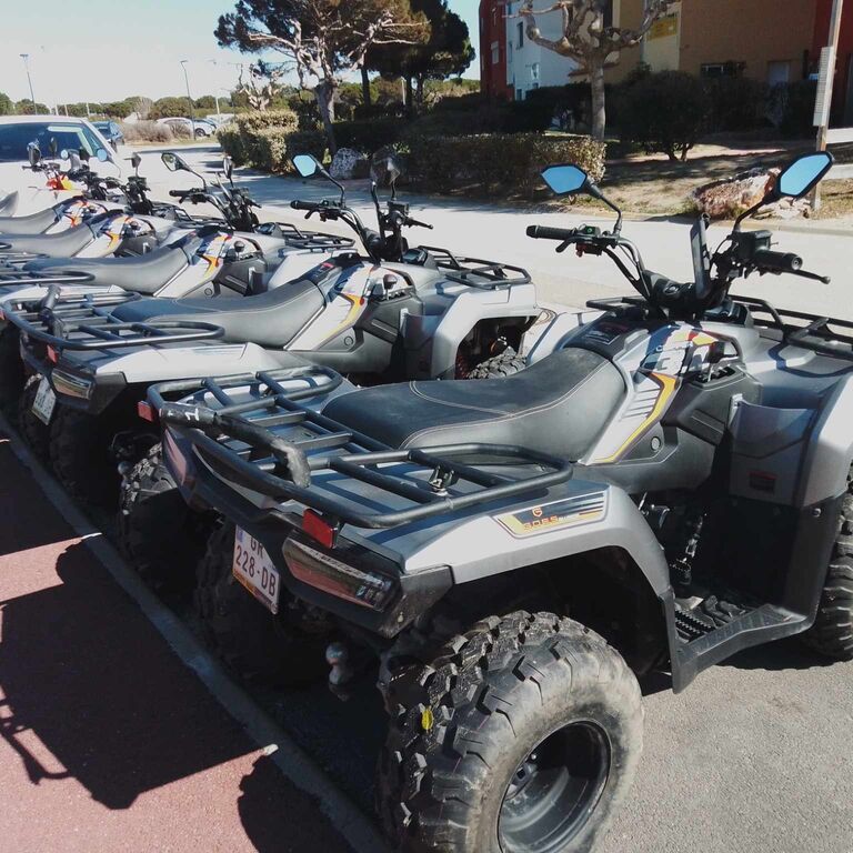 RANDOQUAD55