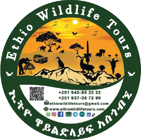 Ethio wildlife tours