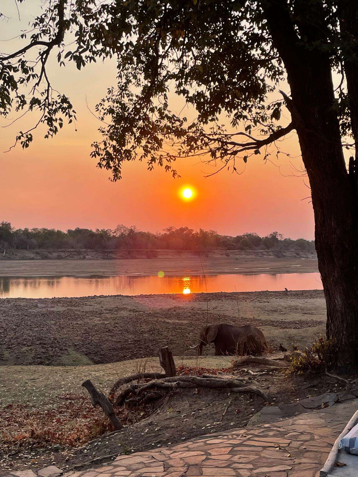 Mbuyu Adventures GmbH