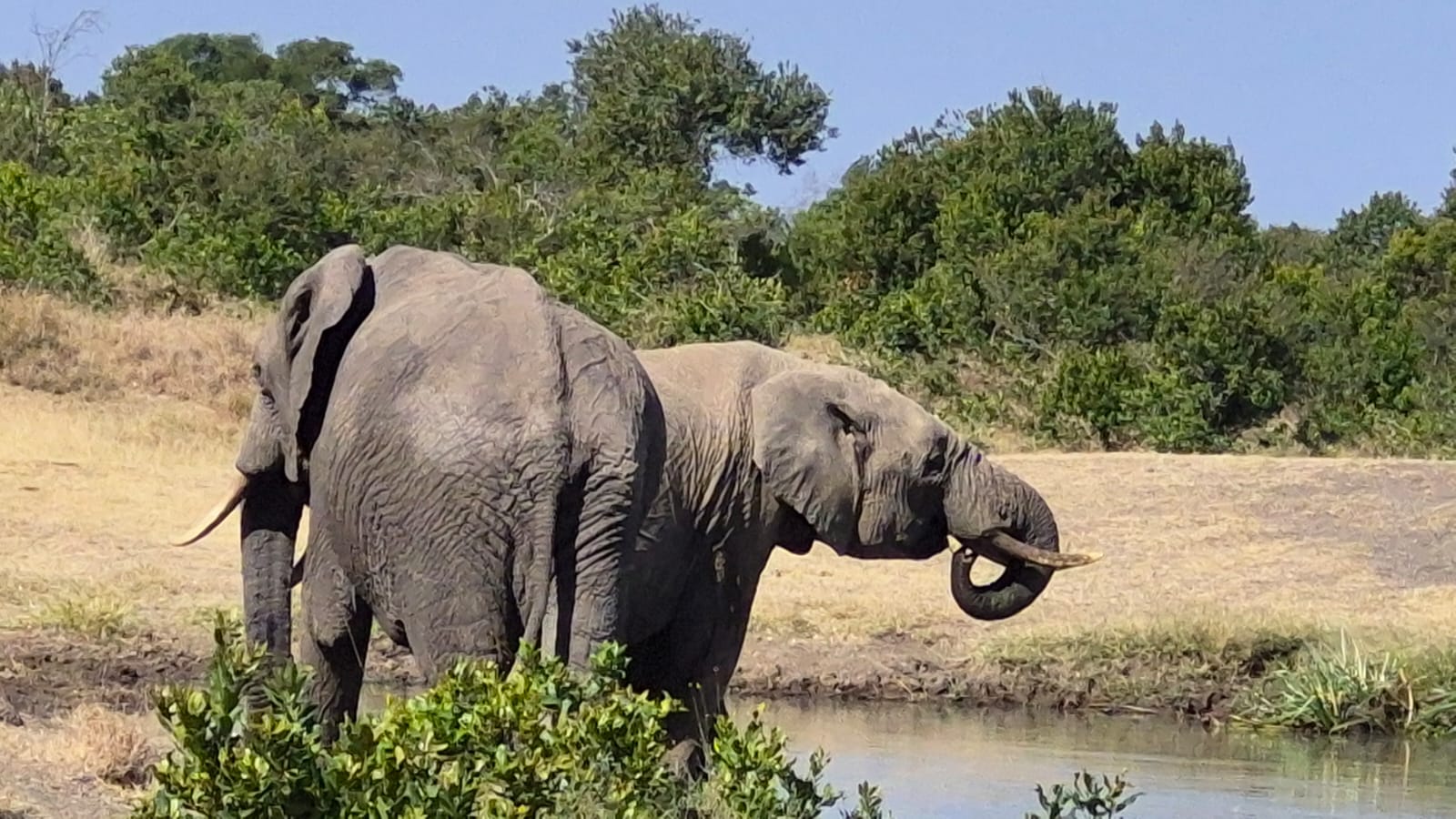 MUKIMA TREKING LIMITED