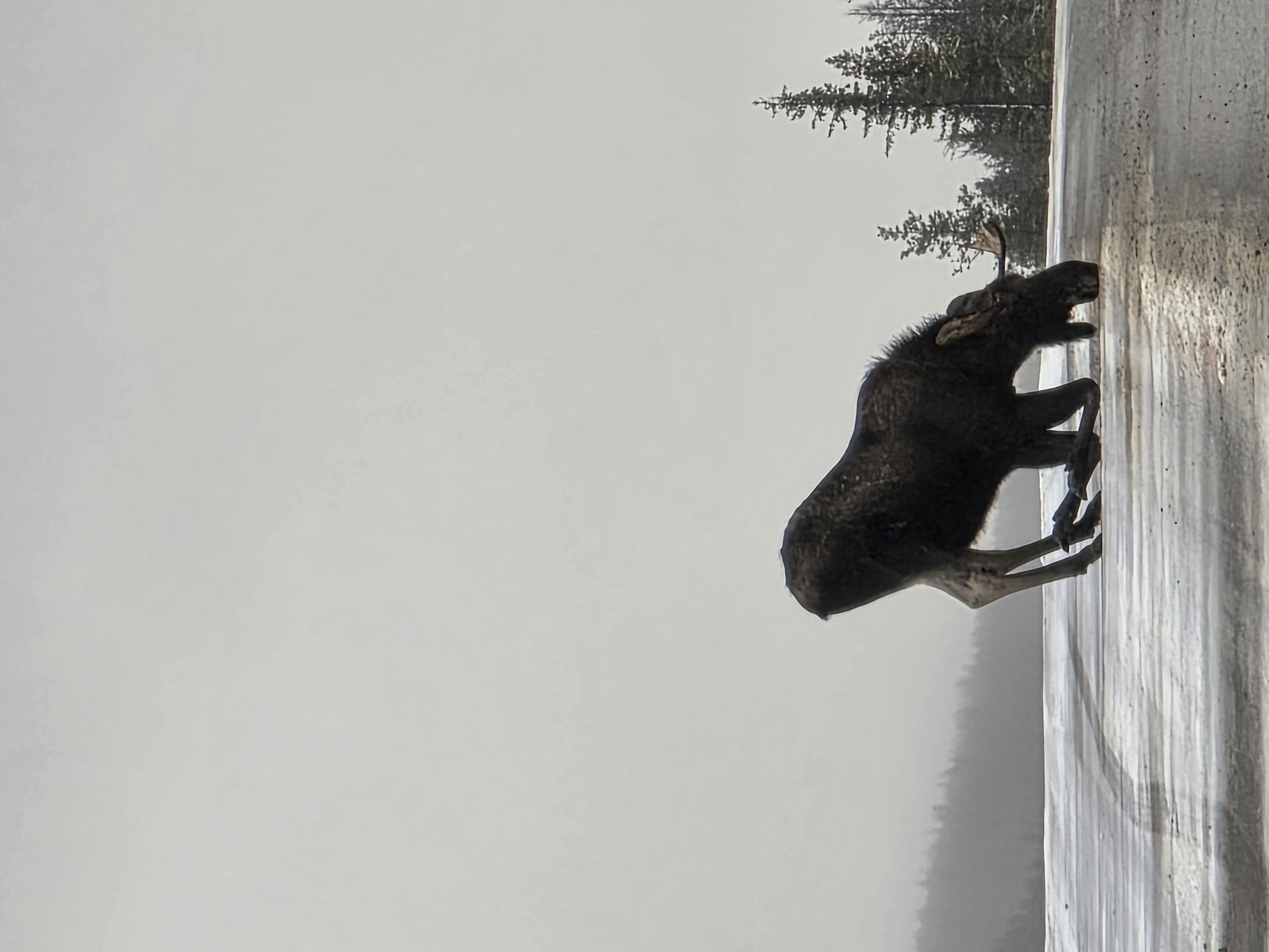 Journey to Banff Private Tours