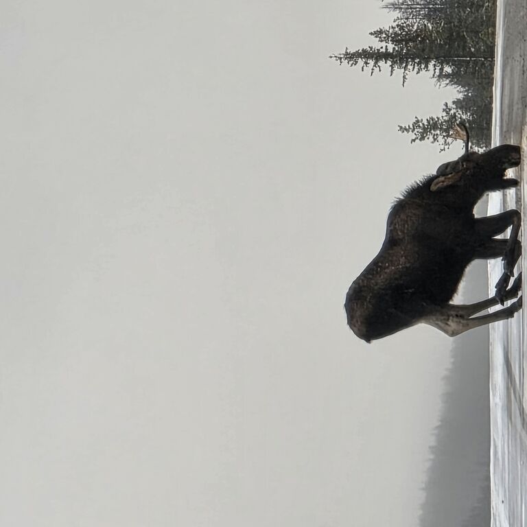 Journey to Banff Private Tours