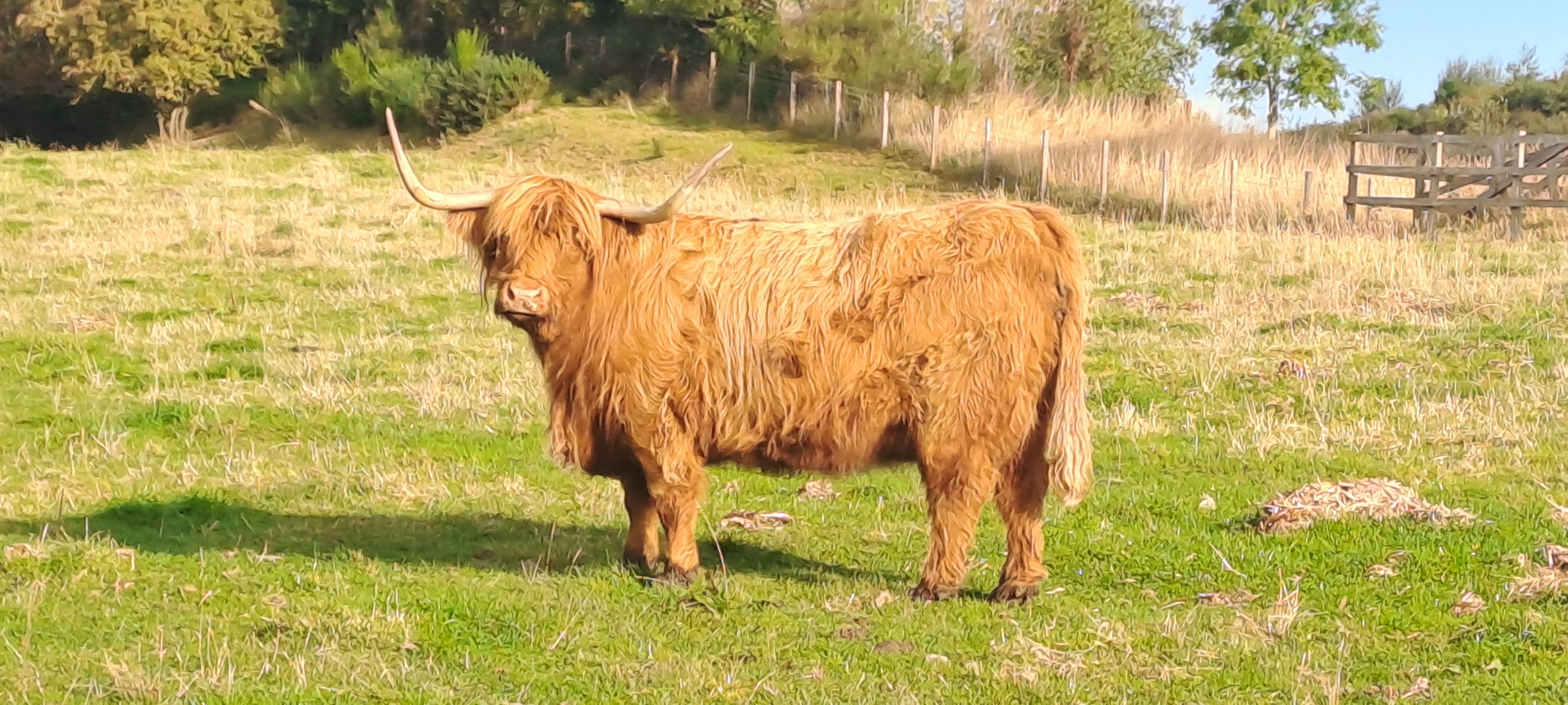 Up 'n About Scotland