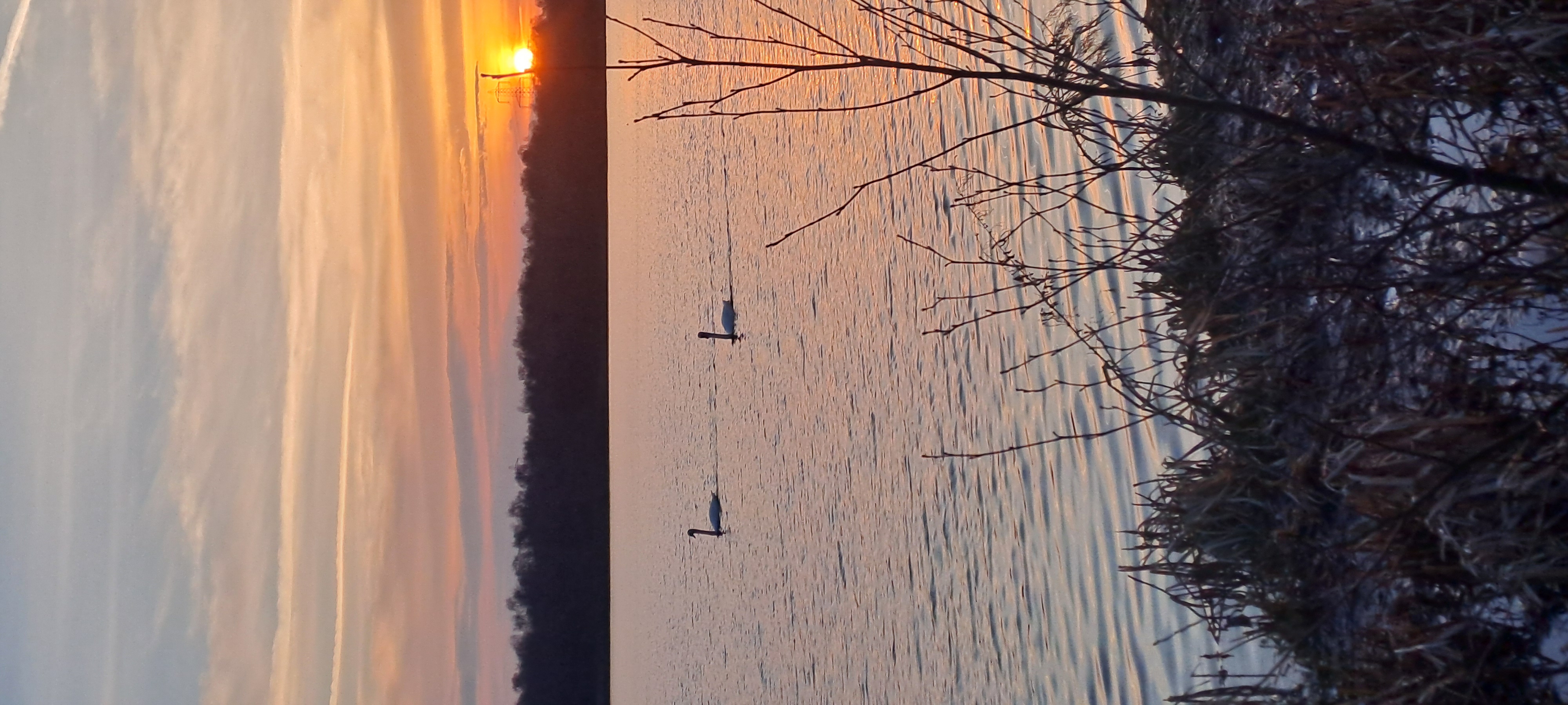 Up 'n About Scotland