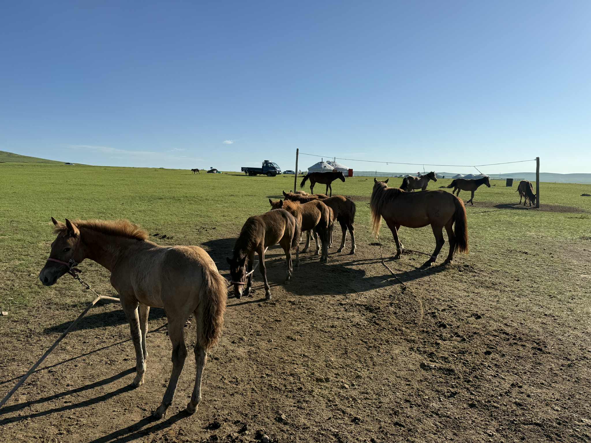 Chinggis Khan Trail Rides