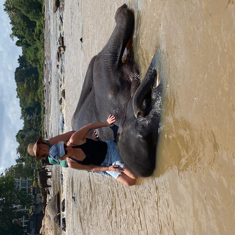 Evergo Sri Lanka tours