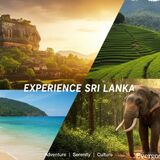 Evergo Sri Lanka tours