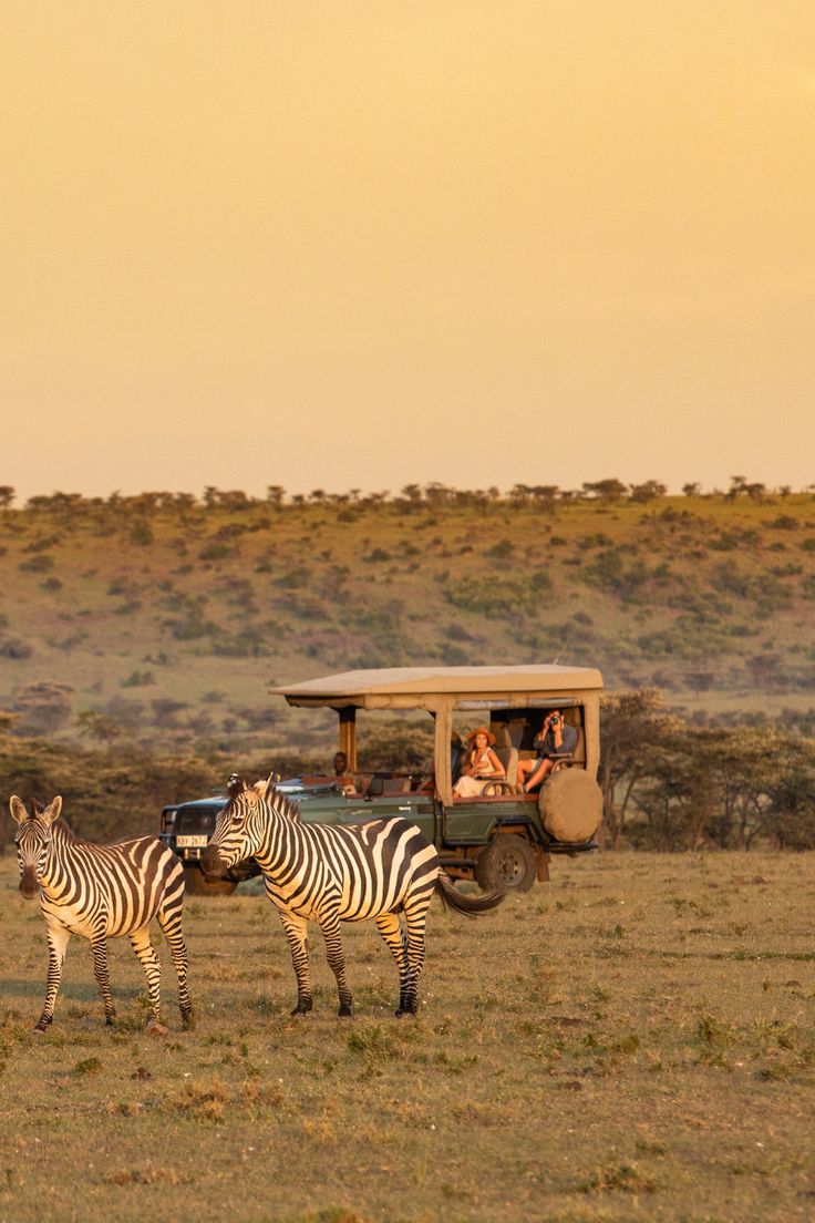 Kikko Kenya safari