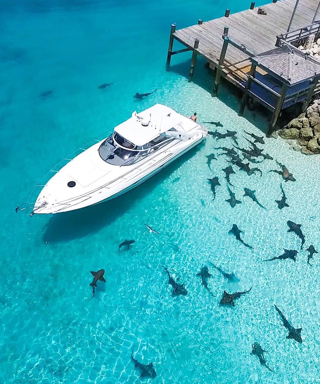 K&C Watersports Bahamas