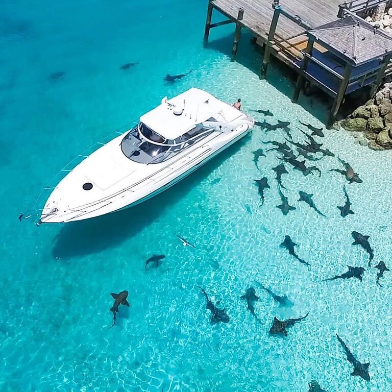 K&C Watersports Bahamas