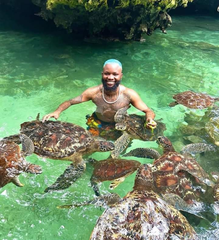 Alibaba Tours Zanzibar