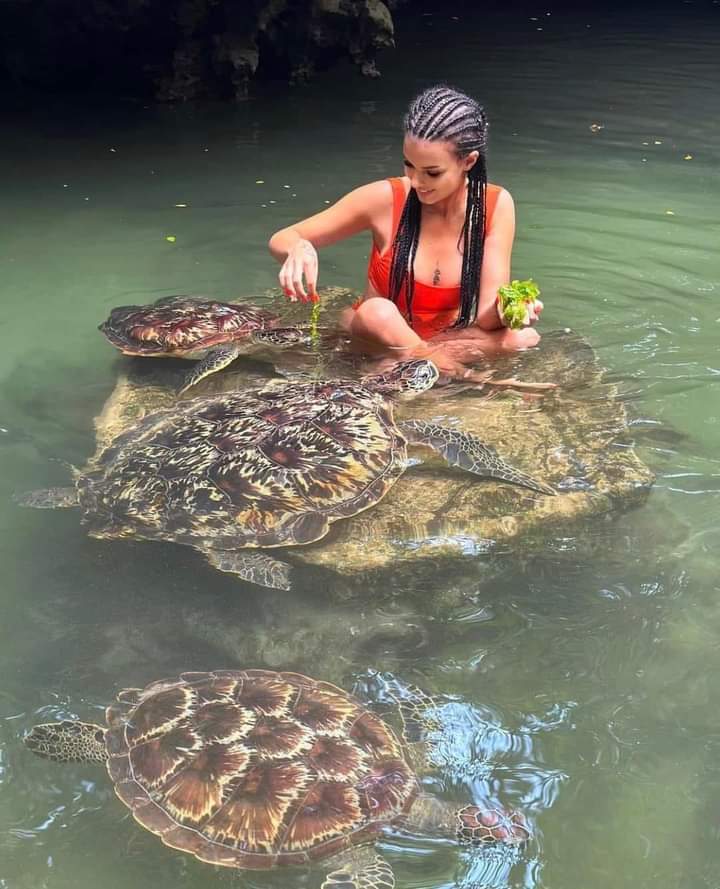 Alibaba Tours Zanzibar
