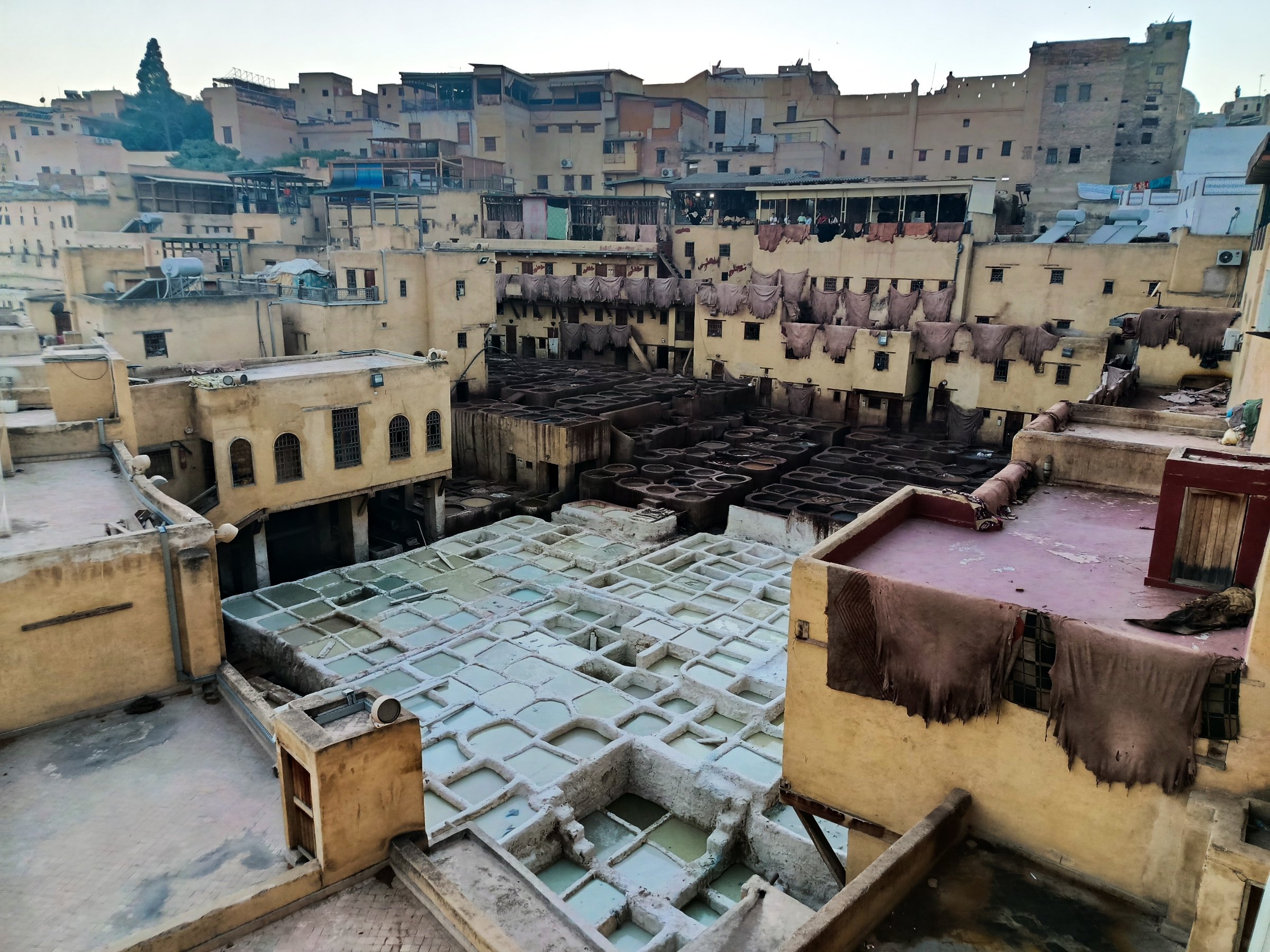 Fez fancy tours