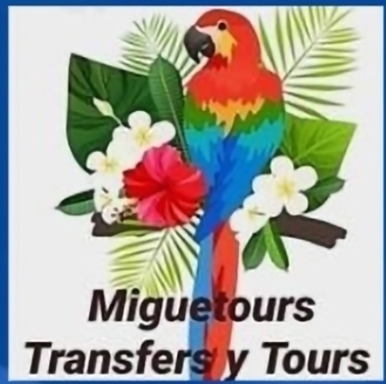 Miguetours Transfers and Tours