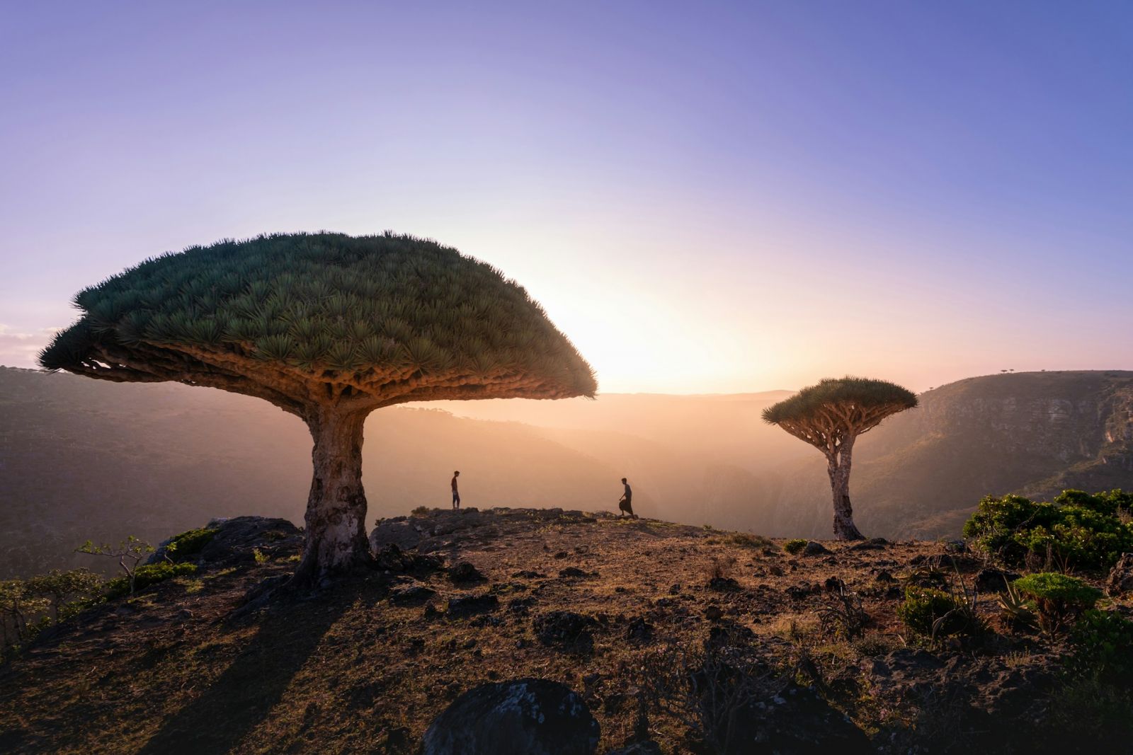 Socotra Adventure