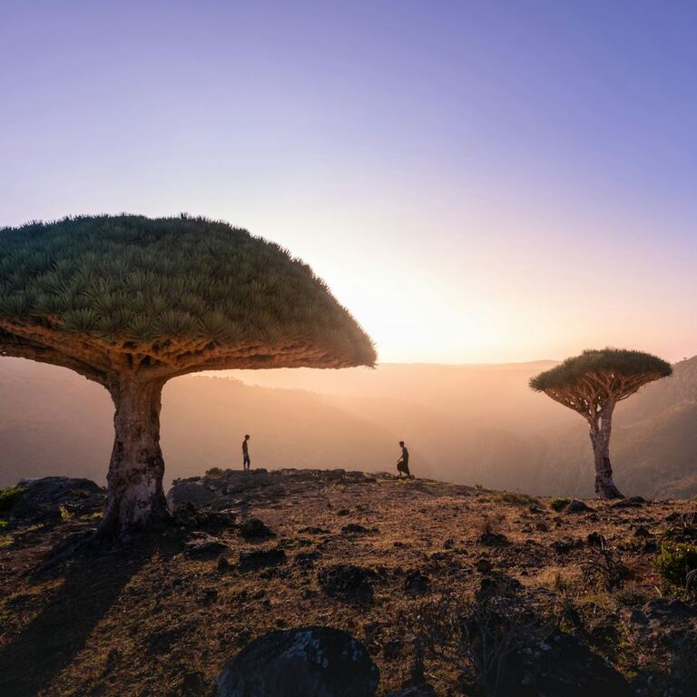 Socotra Adventure