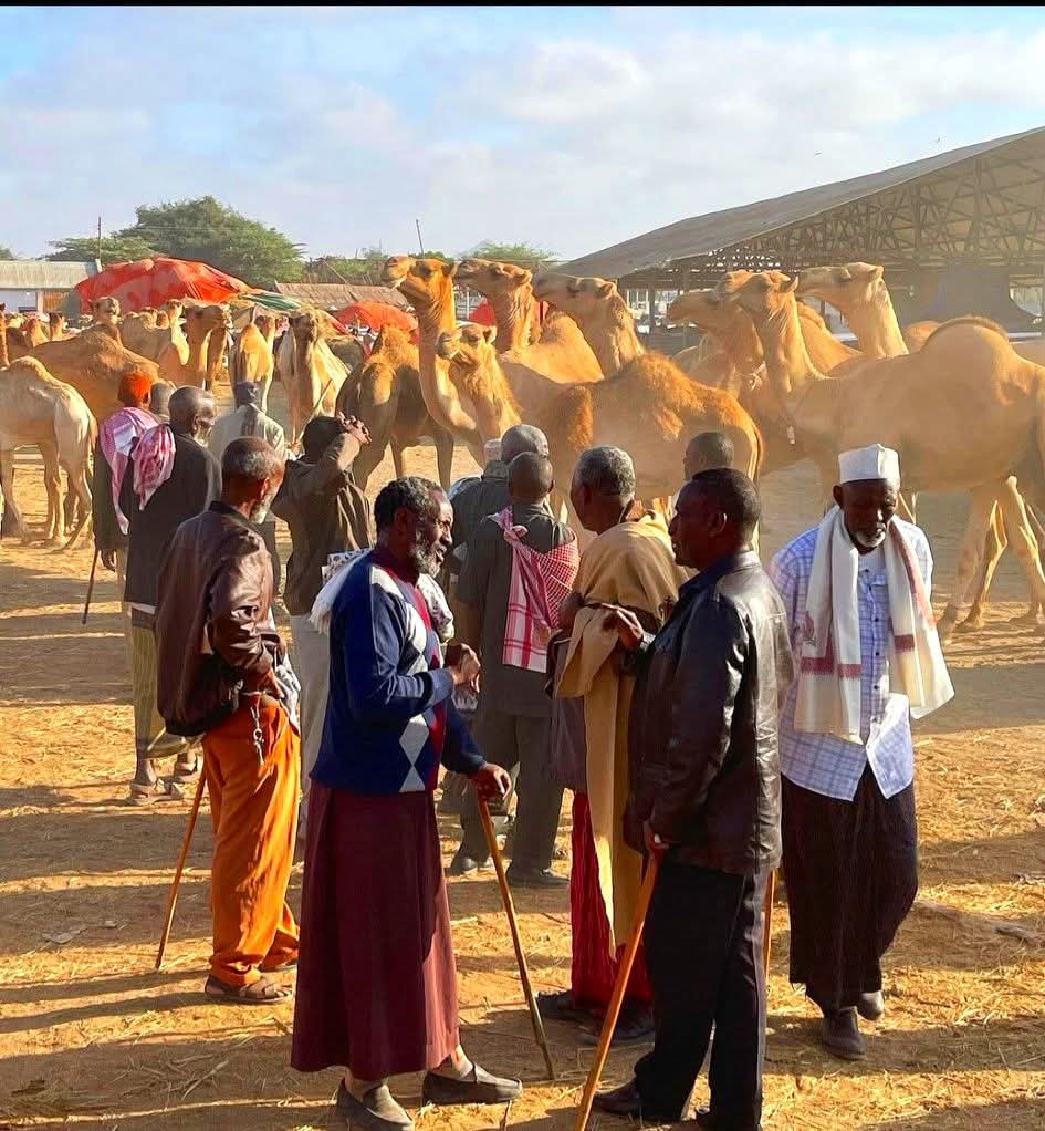 Horn explore Gateway