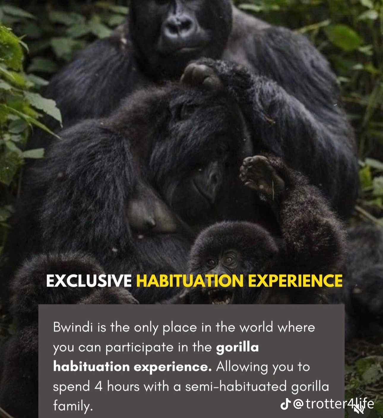Boreal tours and travel