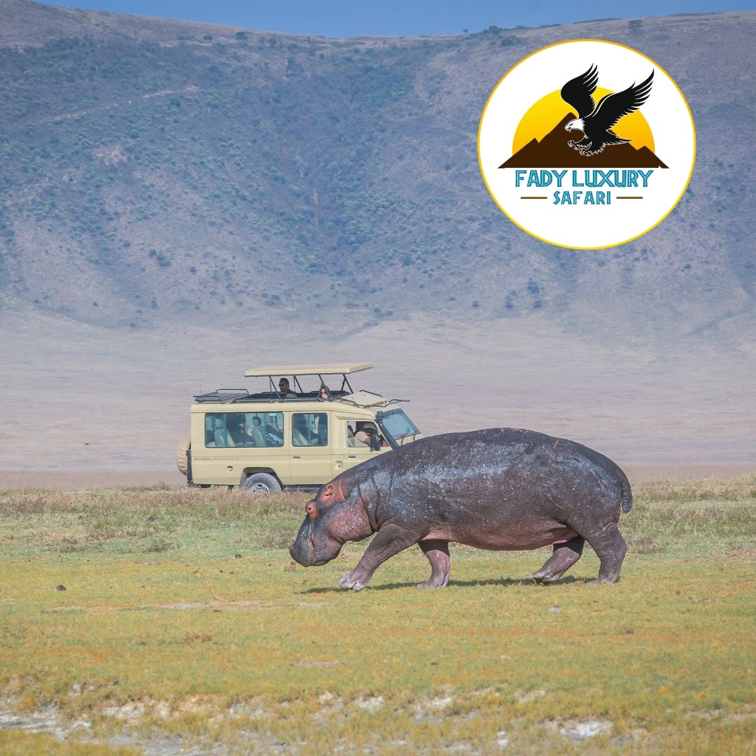 Fady Luxury safaris