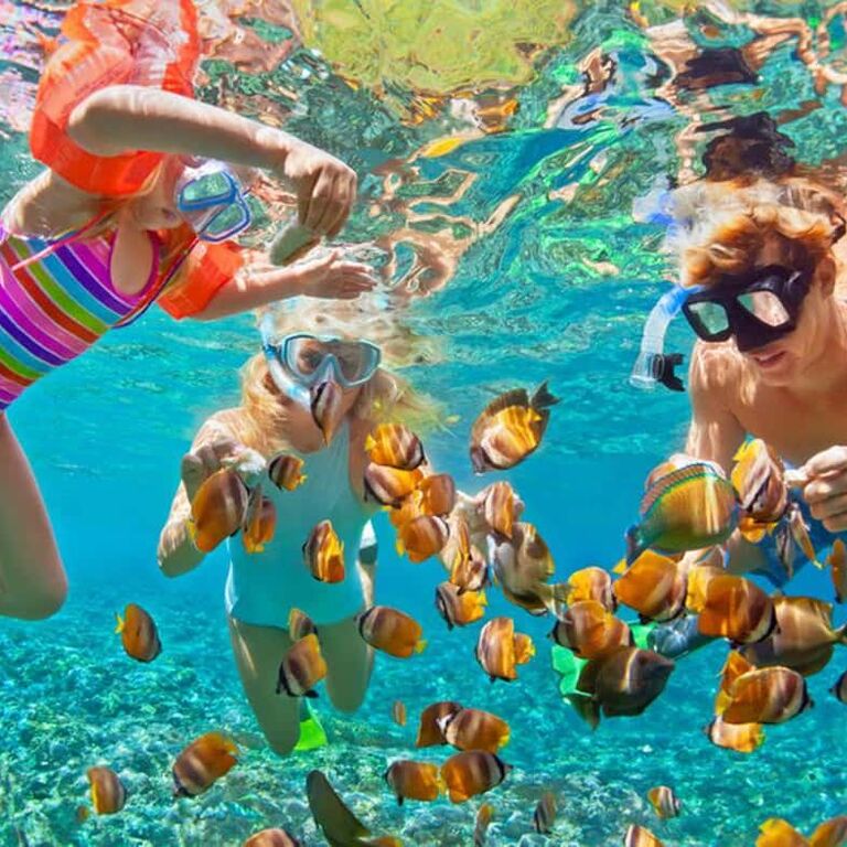 Zanziventure Tours