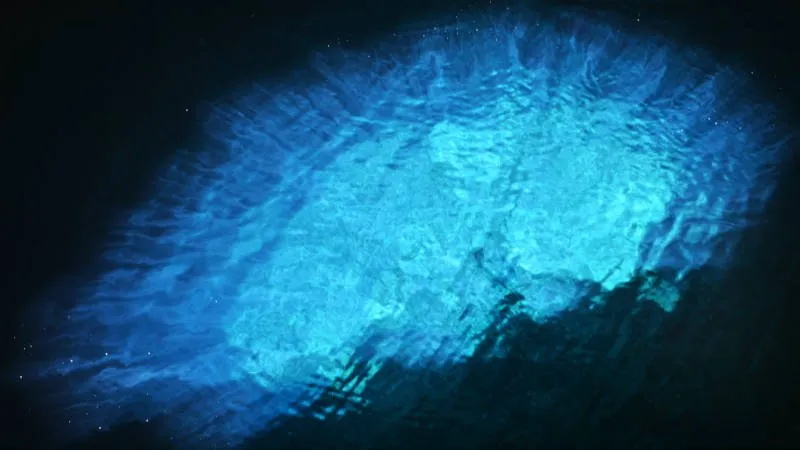 Book a Taxi Group Transfer