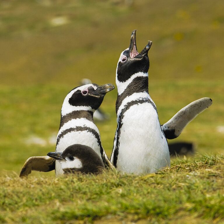 Paso del Viento