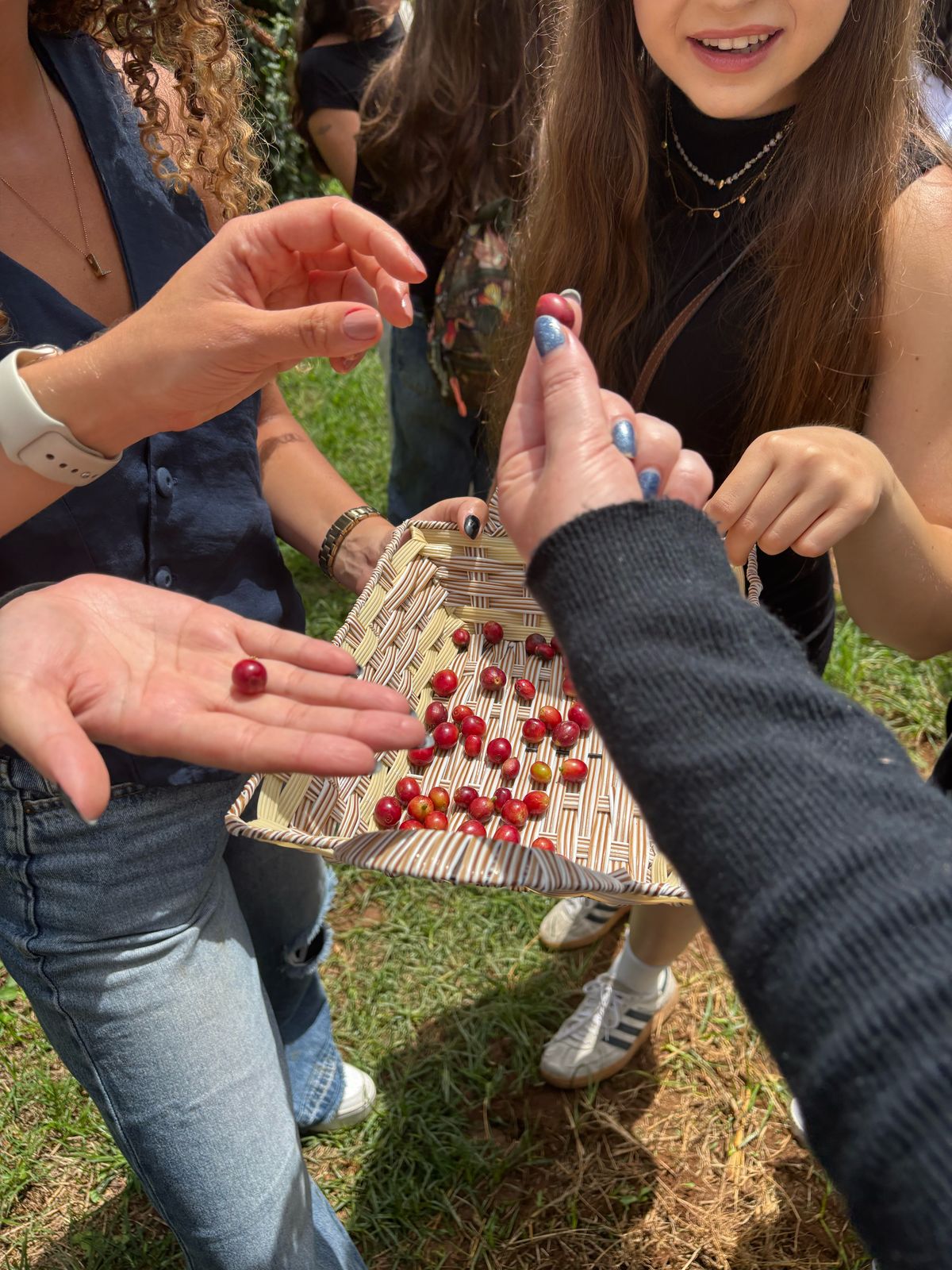 ZANDONADE CAFÉS ESPECIAIS