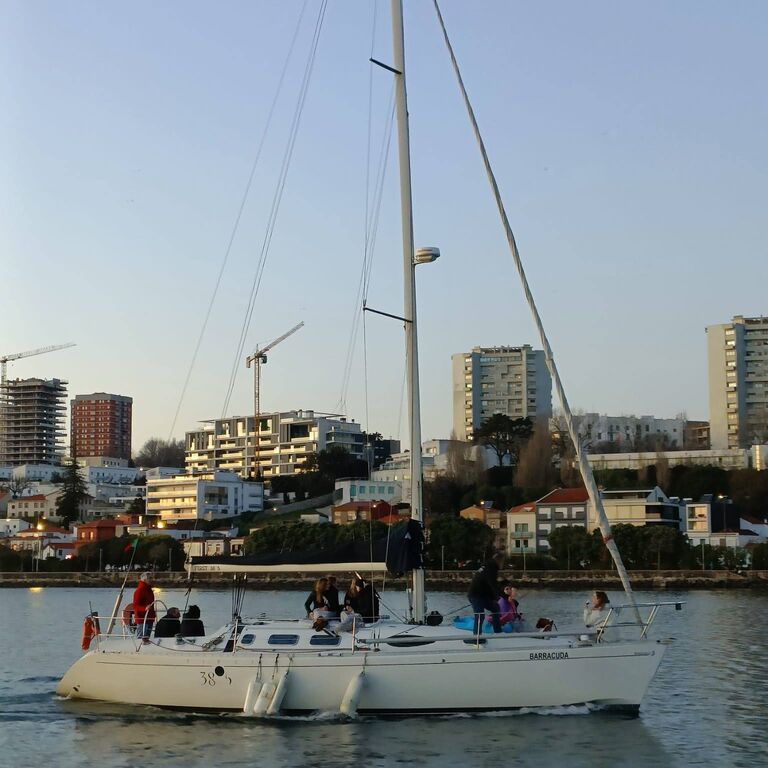 BARRACUDA TOURS