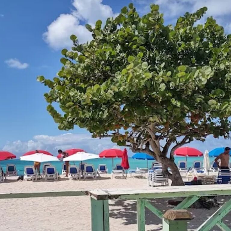 Pelican safar tours