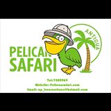 Pelican safar tours