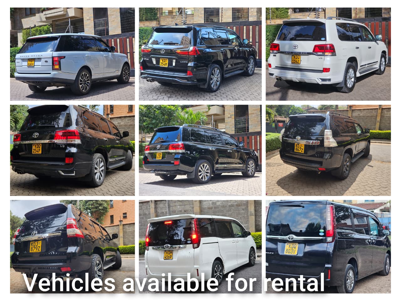 Sarei Car Rentals Tours & Safa