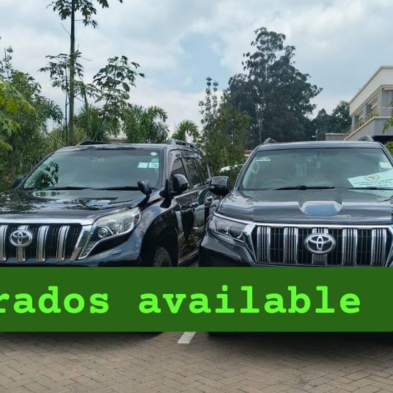 Sarei Car Rentals Tours & Safa