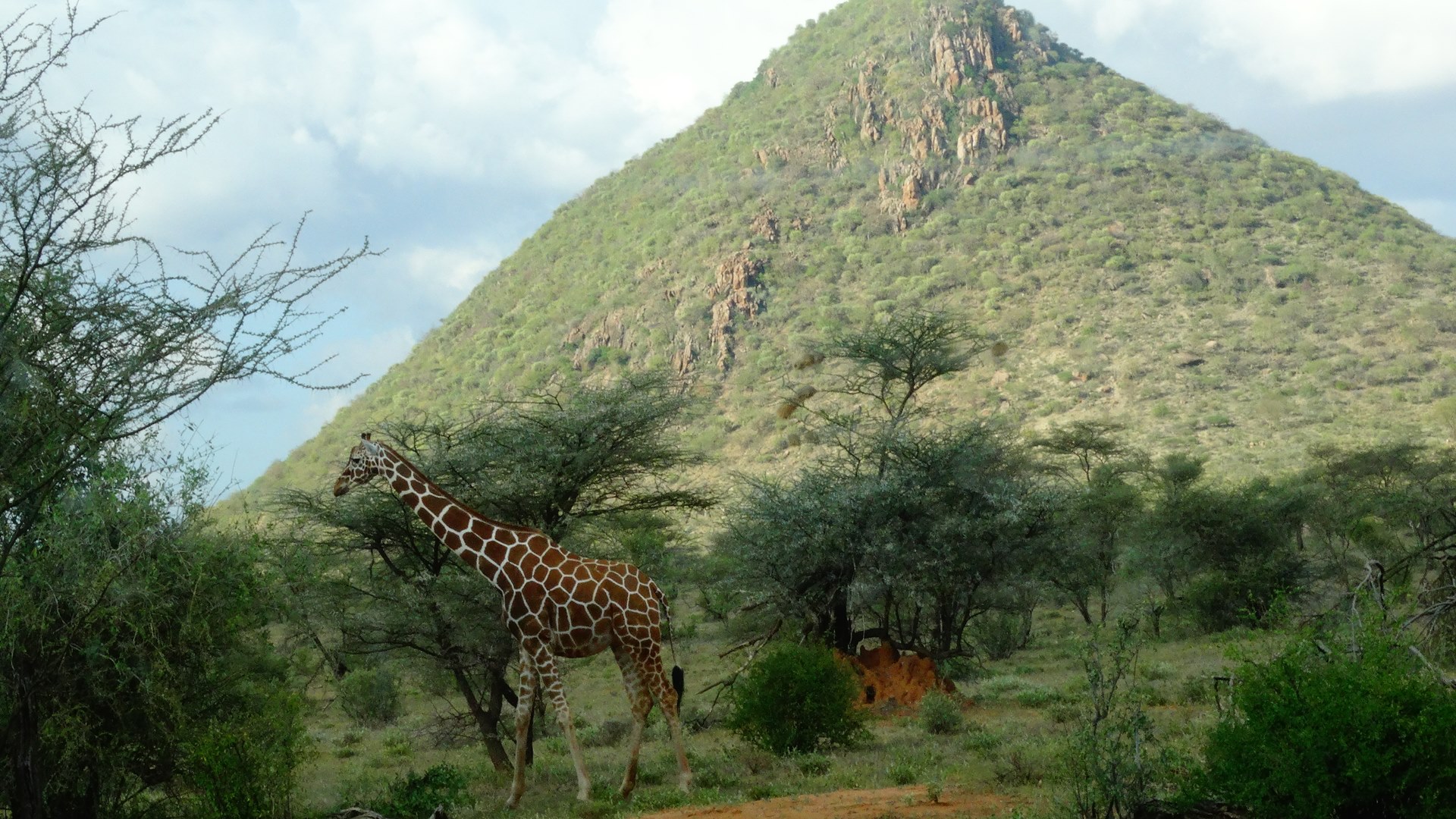Nyangulo Africa Safaris