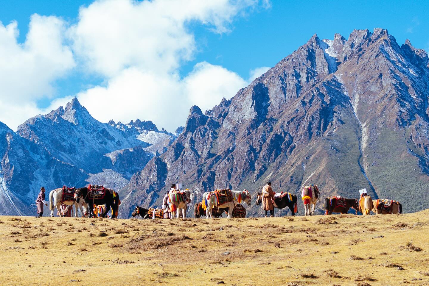 Himalayan Marvels