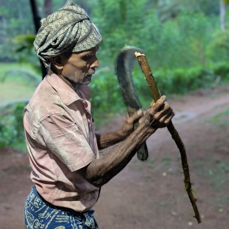 U-Tea Lanka Tours