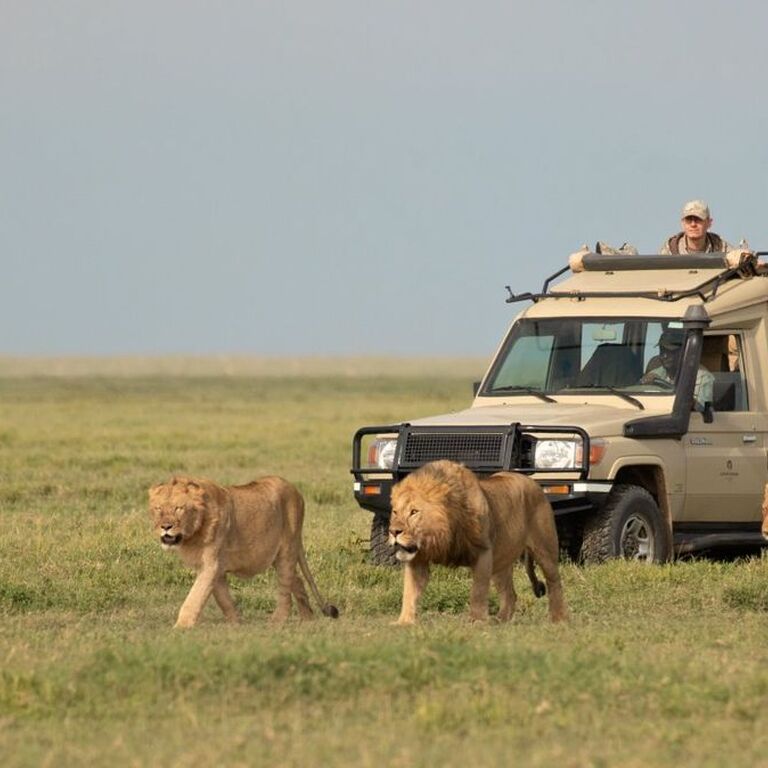 Ababa Uganda Safaris