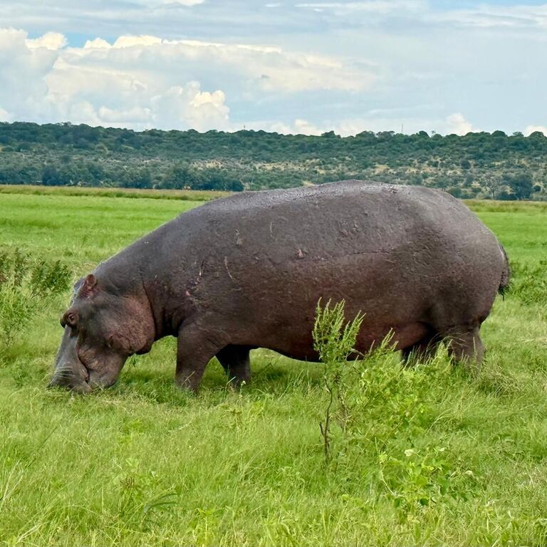 Nhlanhla