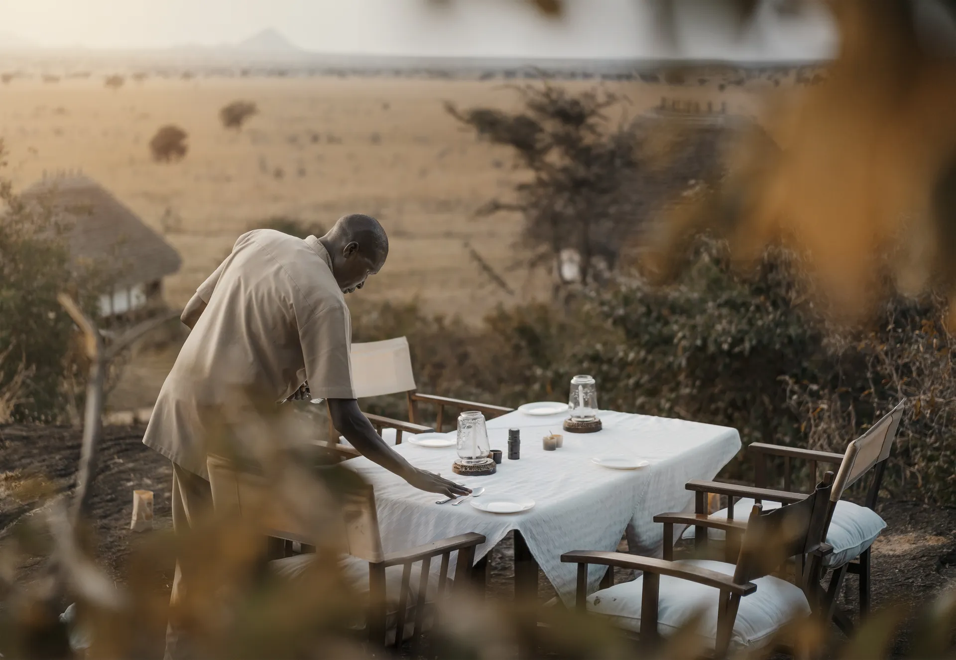 King of the Jungle Tours