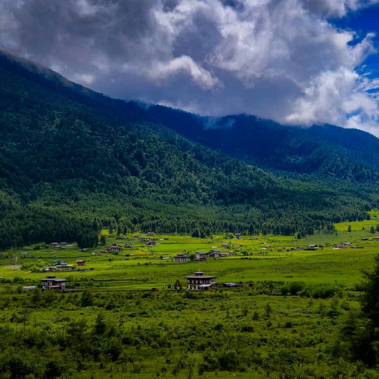 Tshering Dorji