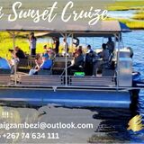 Zambezi Tours and Safaris