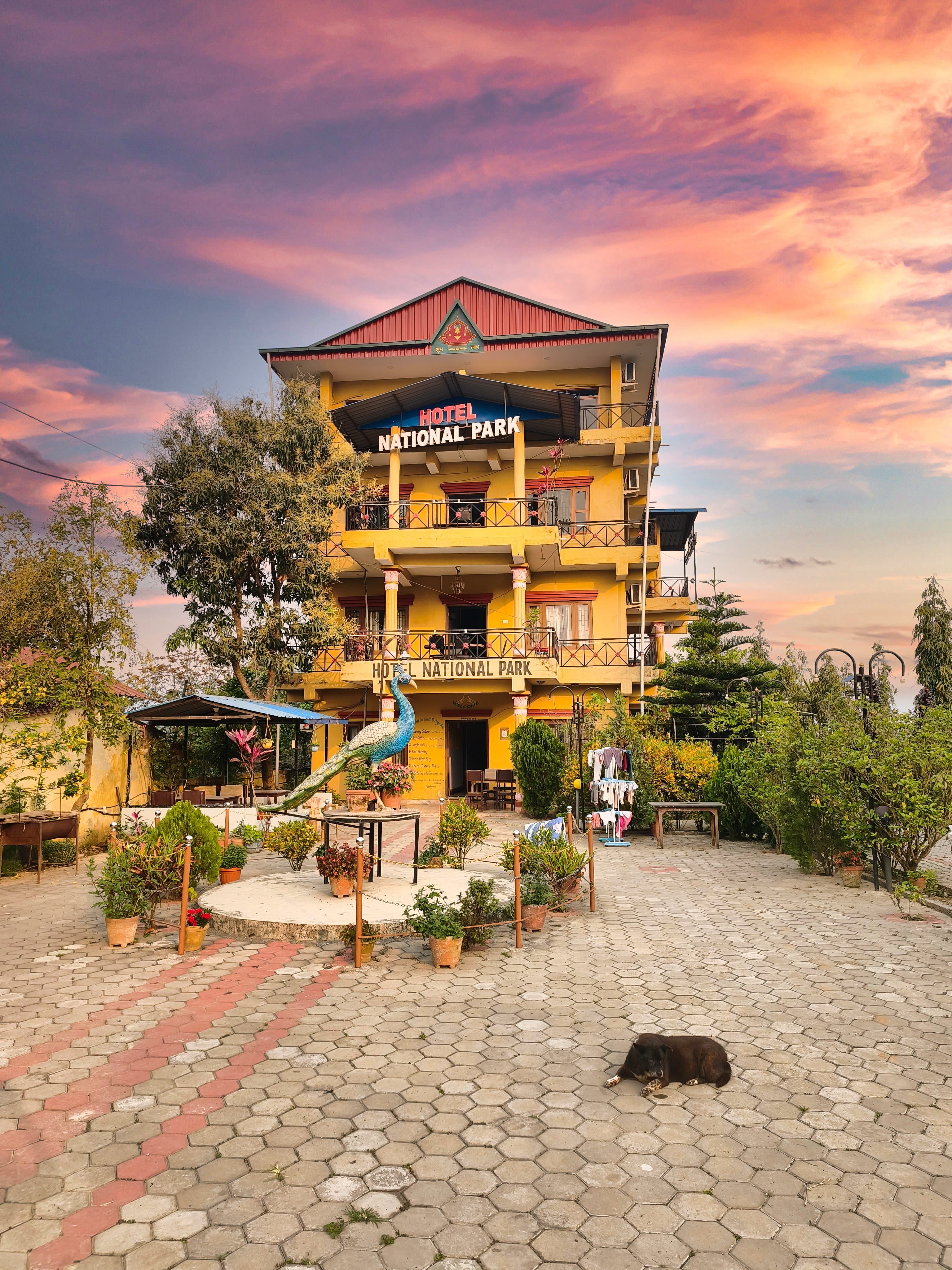 Hotel National Park Sauraha