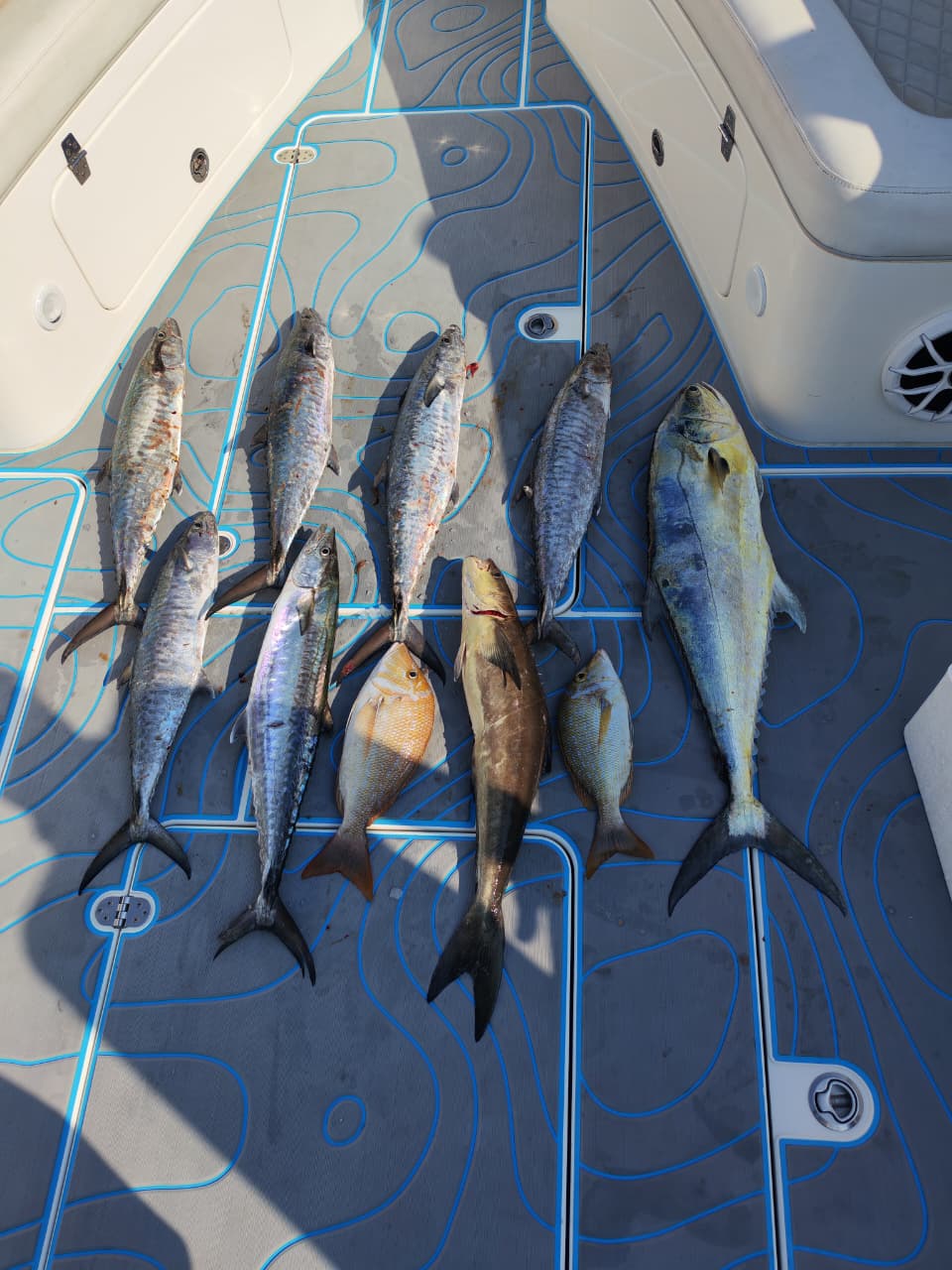 Ocean waves boat rental