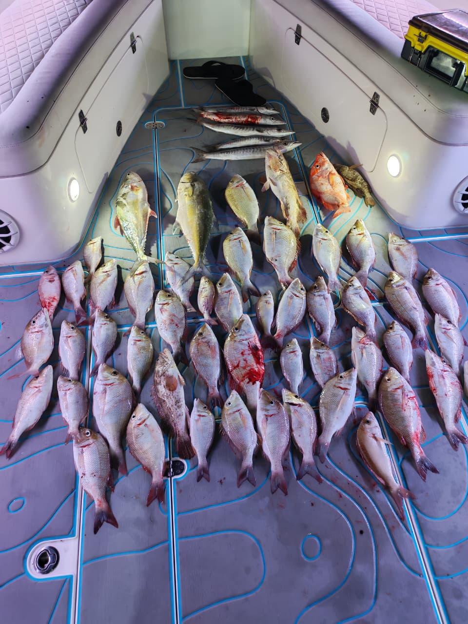 Ocean waves boat rental